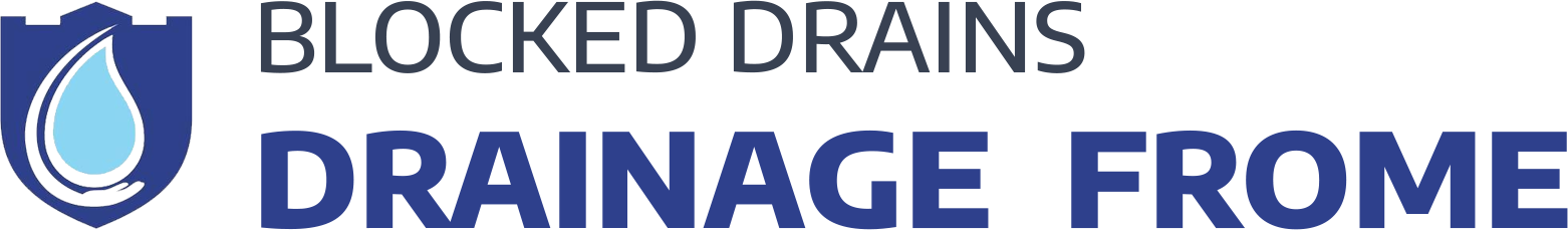 website logo